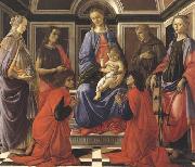Sandro Botticelli Madonna enthroned with Child and Saints (Mary Magdalene,John the Baptist,Cosmas and Damien,Sts Francis and Catherine of Alexandria) Germany oil painting reproduction